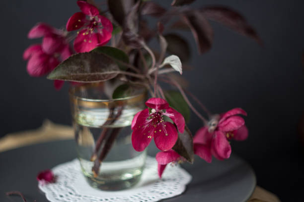 istock Close up branch of apple tree blossom 1166773706