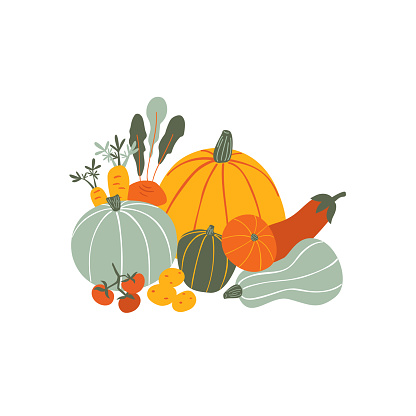 Autumn vegetables isolated on white background. Seasonal Harvest composition with natural healthy food. Colorful hand drawn illustration in cartoon style.