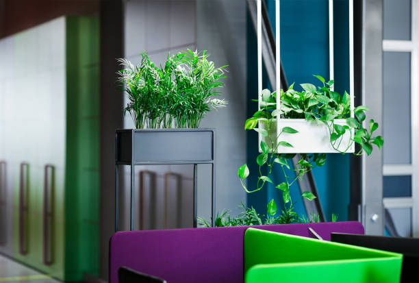 istock Relaxation area in modern office interior with green plants 1166775770