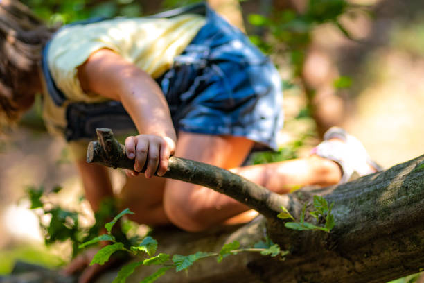 Earth Day. Child touching tree trunk bark.