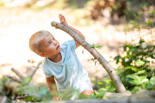 Boy climbing tree while playing in forest.