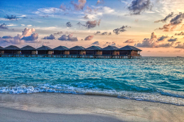 istock Water bungalows in the evening sun 1166775985