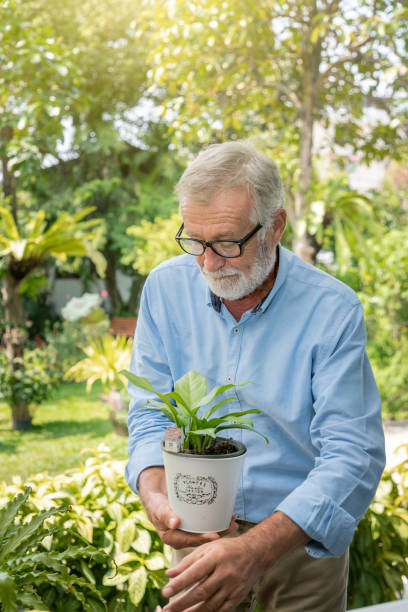 istock Senior old man eldery puring water and taking care small tree on table in garden 1166776100