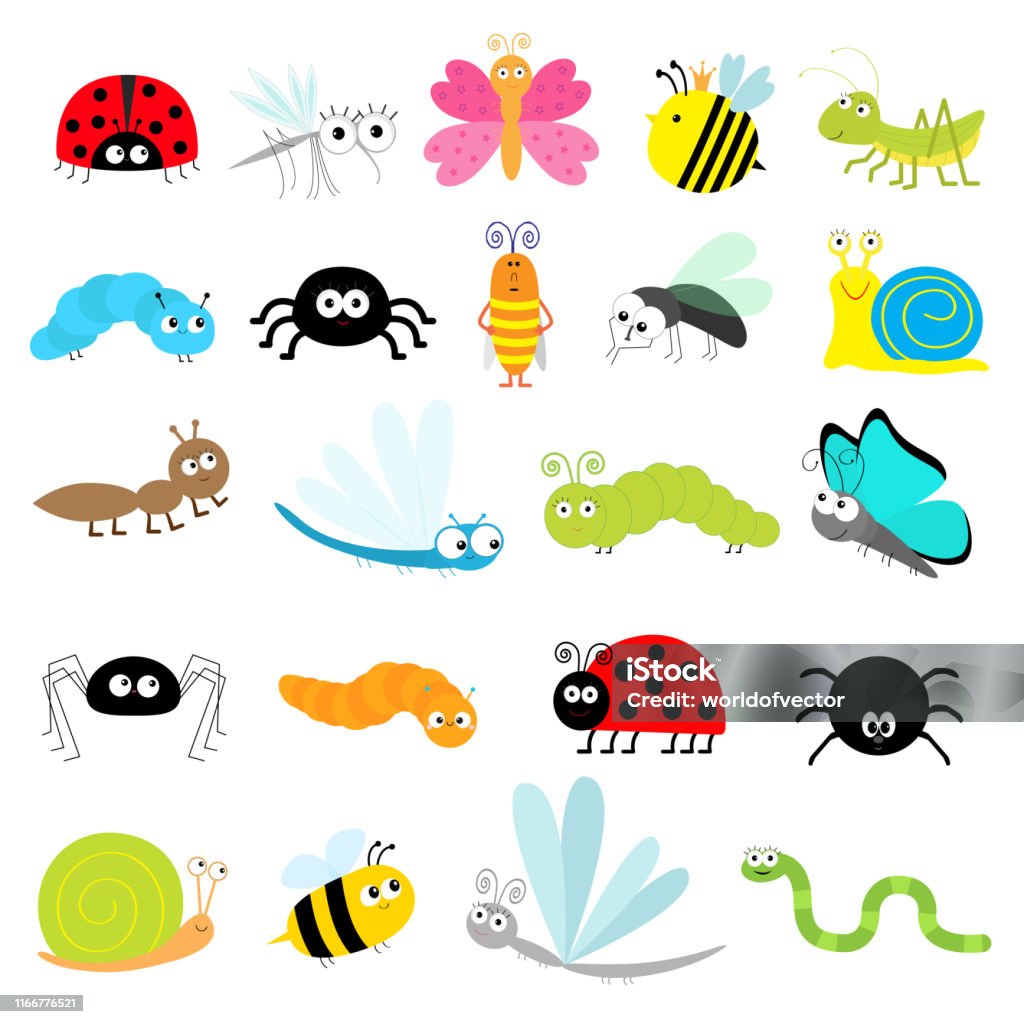Insect Icon Set Lady Bug Mosquito Butterfly Bee Grasshopper Beetle  Caterpillar Spider Cockroach Fly Snail Dragonfly Ant Lady Bird Worm Cute  Cartoon Kawaii Funny Doodle Character Flat Design Stock Illustration -  Download