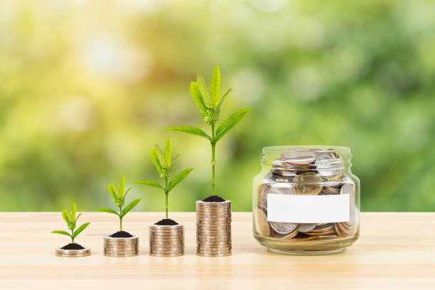 istock Coin glass jar container and stack on wooden desk with blank label, saving concept, on green tree background 1166777631
