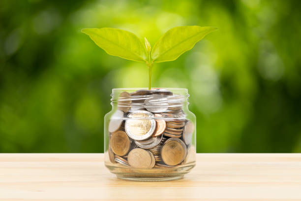 istock Coin glass jar container on wooden desk, saving concept, on green tree background 1166777725