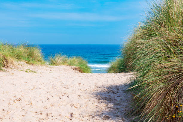 istock A sandy footpath makes its way through long grasses leading down to the sea on a beach along the Northumberland coast in England. 1166780449