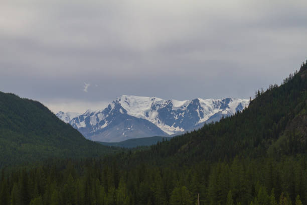 istock Snow top in Altai mountains. Bottom view. 1166784084