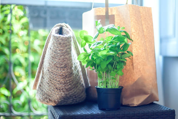 istock Reusable Shopping Bags 1166784969