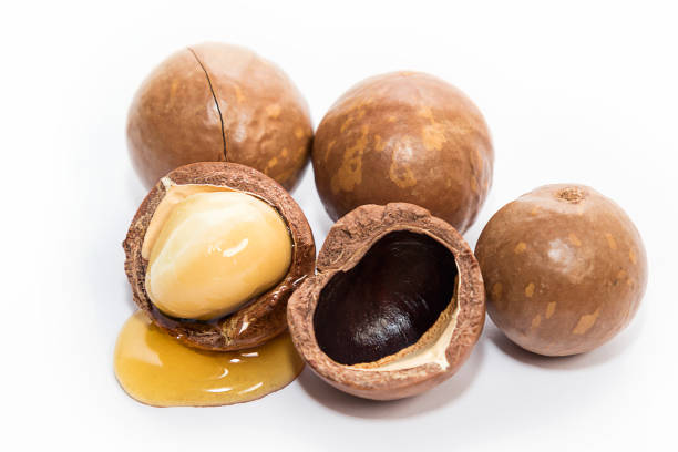 istock Macadamia oil and nuts on white background 1166786769
