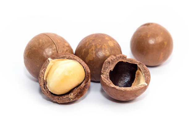 istock Macadamia oil and nuts on white background 1166786775