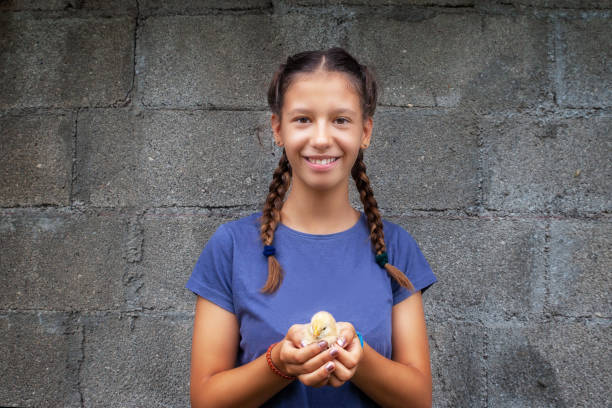 赤ちゃんチキンを持つカメラで微笑む若い女の子 - chicken baby chicken young bird poultry ストックフォトと画像