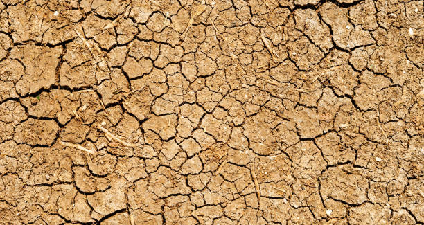 terras secas na somália - global warming cracked dirt earth - fotografias e filmes do acervo
