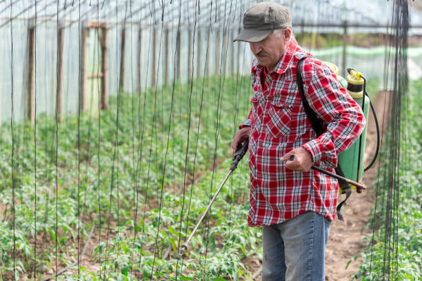 istock Senior Agriculturist 1166789870