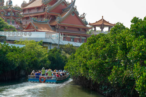 parque verde de sicao em tainan, formosa. - river annan - fotografias e filmes do acervo