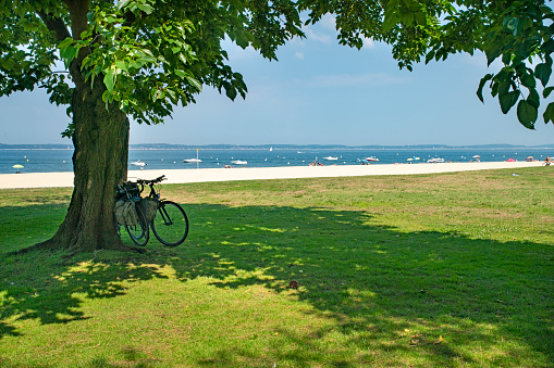 The Bay of Arcachon beach in Western France in the Arcachon Basin. This shows the trees on the promenade at the back of the beach in the afternoon sun with a bicyclle in the shade leaning against a tree.