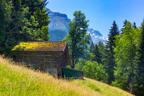 istock Mountain village Wengen, Switzerland 1166792377