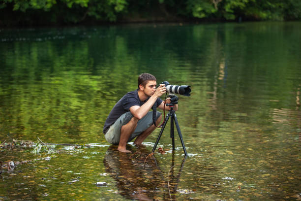 fotografo di fauna selvatica e natura catturare un'immagine mentre scricchiola nel flusso di acque poco profonde - catturare unimmagine foto e immagini stock
