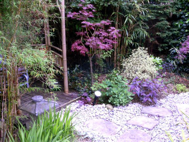 istock Image of stepping stones pathway in garden with Japanese elements, featuring bamboo tea house with rocking seat, granite lanterns, bamboo, pebbles, bonsai and Japanese maples (acers) 1166799373