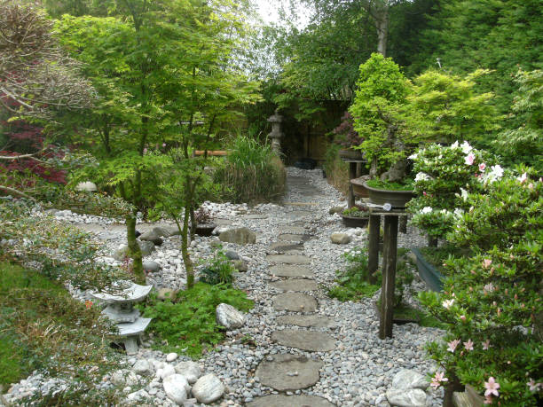 istock Image of stepping stones pathway in garden featuring Japanese elements, featuring granite lanterns, bamboo, pebbles, bonsai and Japanese maples (acers) 1166799440