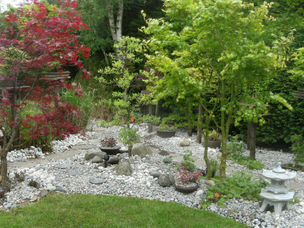 istock Image of stepping stones pathway in garden featuring Japanese elements, featuring granite lanterns, bamboo, pebbles, bonsai and Japanese maples (acers) 1166799446