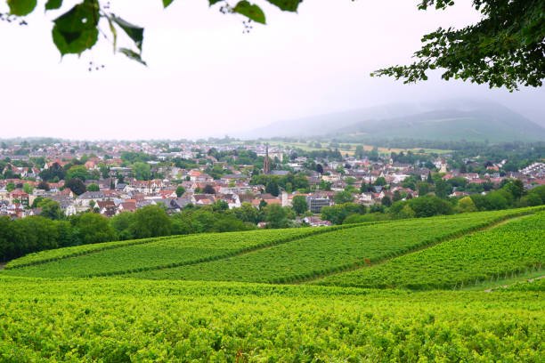 istock South Germany old town with vineyards 1166801011
