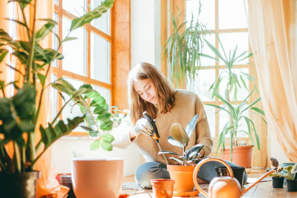 istock Young woman planting 1166802391