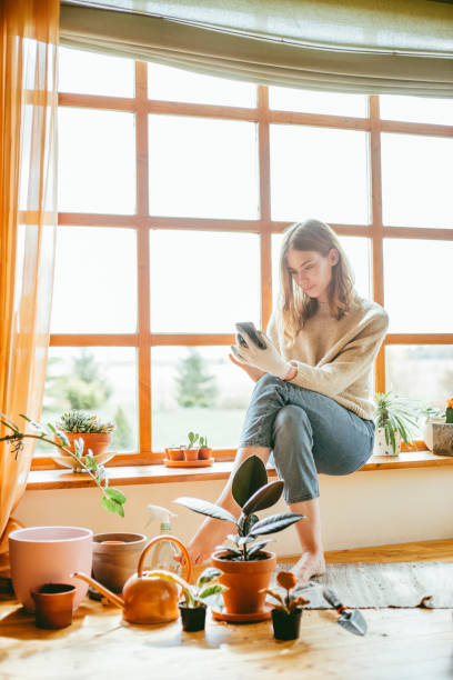 istock Woman sitting by the window using smartphone. 1166802640