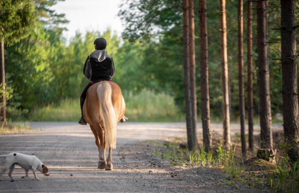 istock Woman horseback riding in forest 1166805073