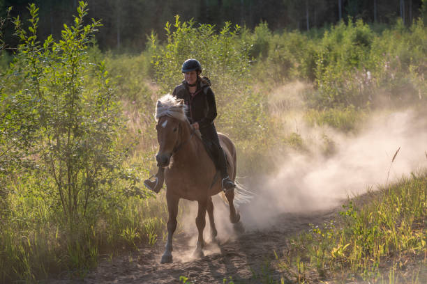 istock Woman horseback riding in forest 1166805109