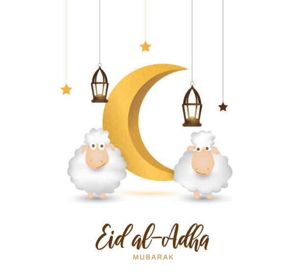 eid al adha mubarak kartka z życzeniami z cute owiec, księżyc, latarnia i gwiazdy. wektor - eid stock illustrations