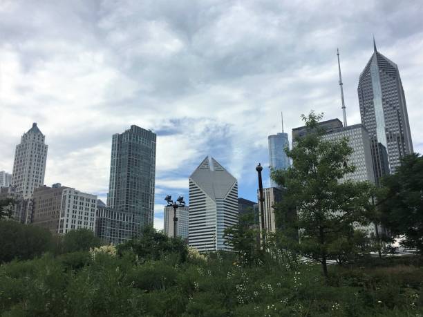 istock Landscape of Chicago's Millennium Park with skyline 1166809902