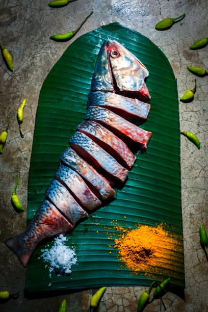 Pieces of Hilsa or Ilish fish.Tenualosa ilisha, is a famous fish in west Bengali India and Bangladesh Pieces of Hilsa or Ilish fish.Tenualosa ilisha, is a famous fish in west Bengali India and Bangladesh fish pie stock pictures, royalty-free photos & images