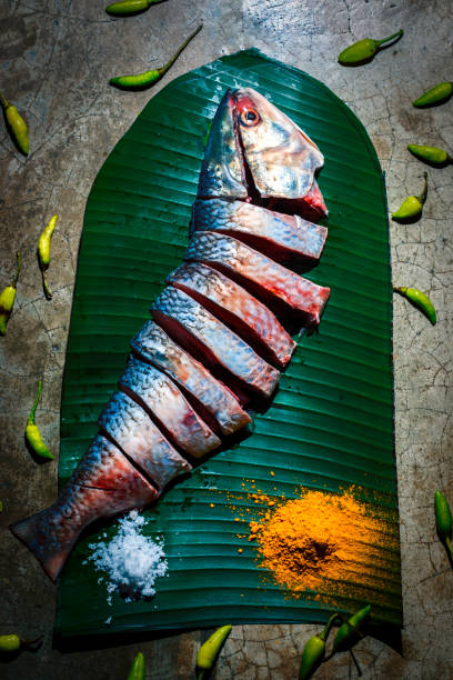 pedaços de peixe hilsa ou ilish. tenualosa ilisha, é um peixe famoso no oeste bengali índia e bangladesh - freshness fish food seafood - fotografias e filmes do acervo