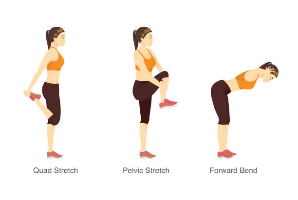 illustrazioni stock, clip art, cartoni animati e icone di tendenza di allenamento stretching in posizione eretta con donna sportiva. - exercising sport cartoon male