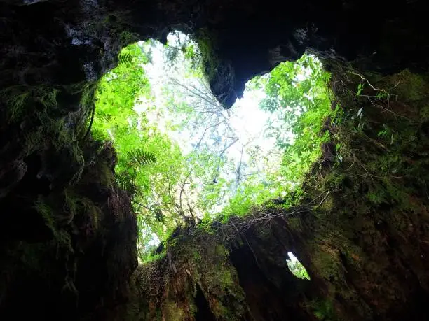 There is this hall on hiking road in Yakushima island in Japan