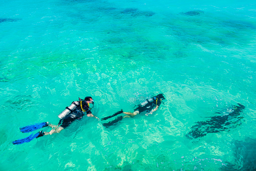 Scuba diving in the turquoise, clear waters of Malmok Beach in Aruba.