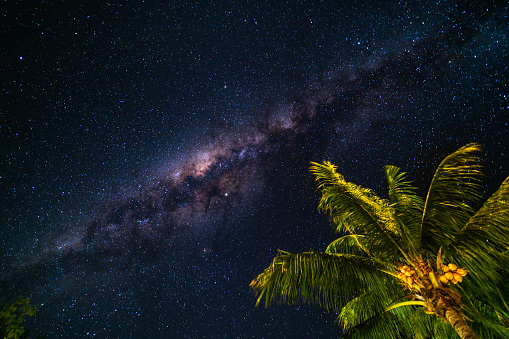 milky way many stars on night sky over tropical island coconut palm tree