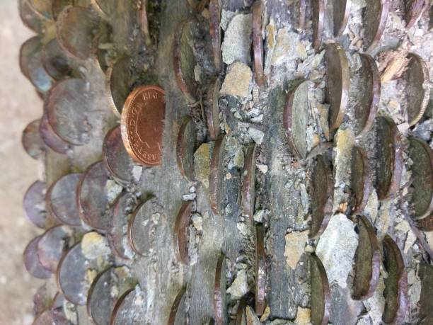Tree Trunk Insert 50+ Embedded Inserts Stock Photos, Pictures & Royalty-Free Images - iStock