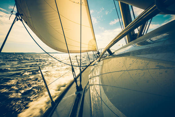 istock Sailing with sailboat at sunset 1166824075