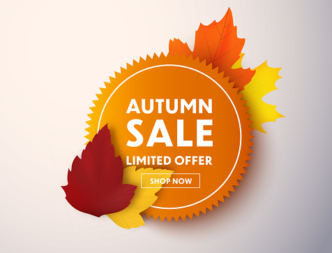 Autumn sale vector banner with autumn leaves. Price tag or label.
