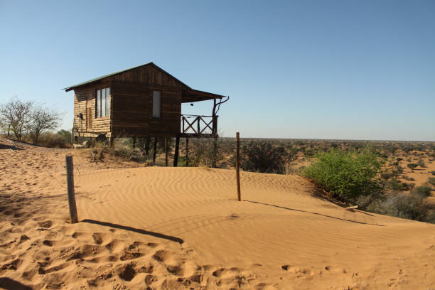 istock Wooden cabin build on a sand dune 1166827754