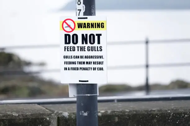 Do not feed seagulls warning sign at seaside beach uk