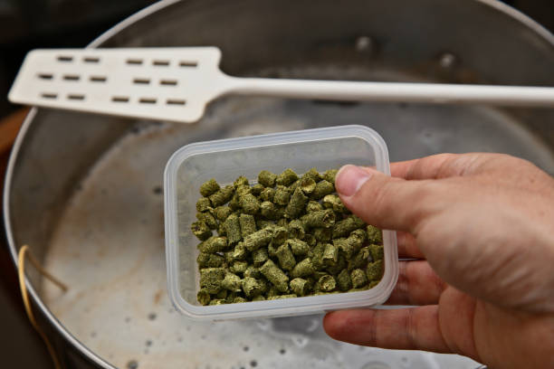 istock Brewing craft beer in a kitchen. Home brewing concept image. 1166830396
