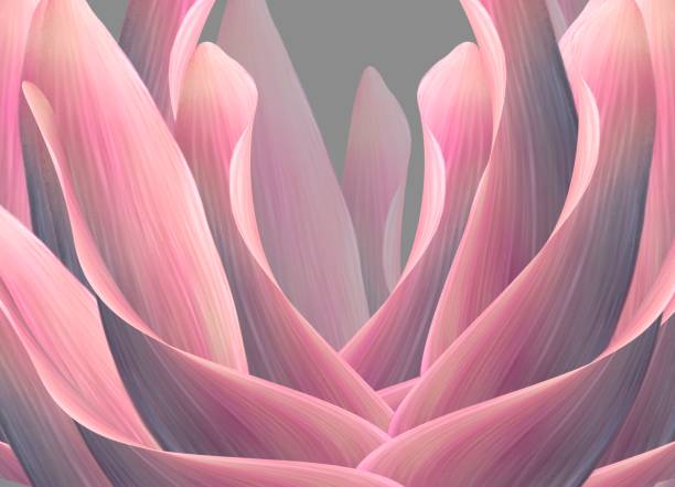 istock Abstract of red flower 1166835072