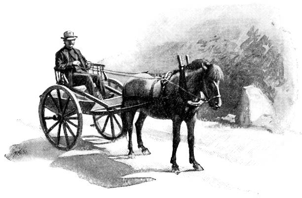 Scandinavian style horse cart in Bergen, Norway. Vintage etching circa late 19th century.