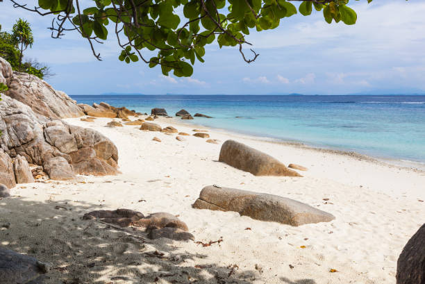 istock Wild beach with white sand and transparent sea 1166838341