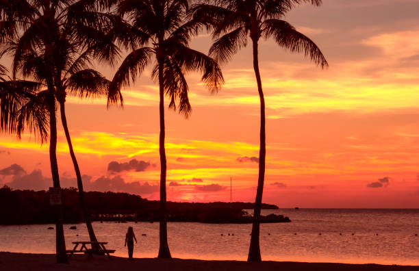 istock Seascape at sunset in Florida, USA 1166842217