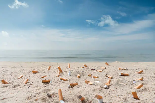 pollution on the beach due to many cigarette fag