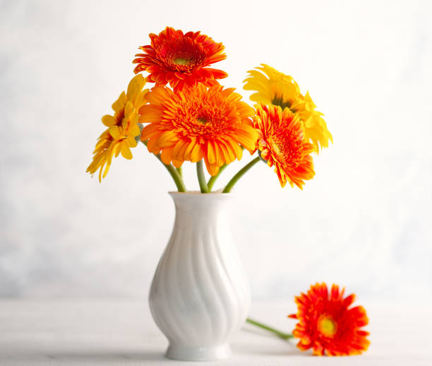 Hermoso Ramo De Flores Rojas Y Amarillas En Jarrón Blanco Sobre Mesa De Madera Vista Frontal Bodegones De Otoño Con Flores Foto de stock y más banco de imágenes de Agua - iStock Hermoso Ramo De Flores Rojas Y Amarillas En Jarrón Blanco Sobre Mesa De Madera Vista Frontal Bodegones De Otoño Con Flores Foto de stock y más banco de imágenes de Agua - iStock